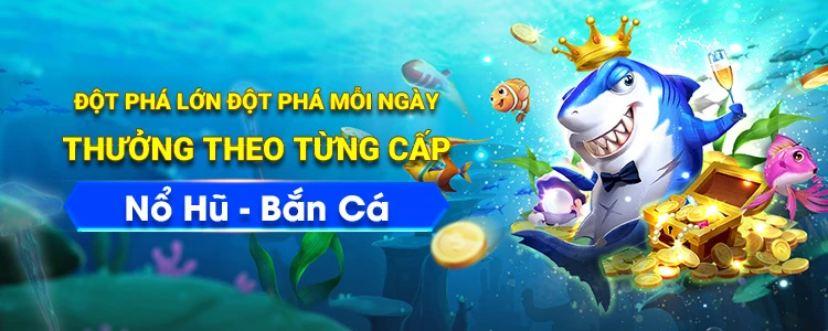 Khám Phá 7ball: Nền Tảng Bóng Đá Đỉnh Cao Tại Việt Nam